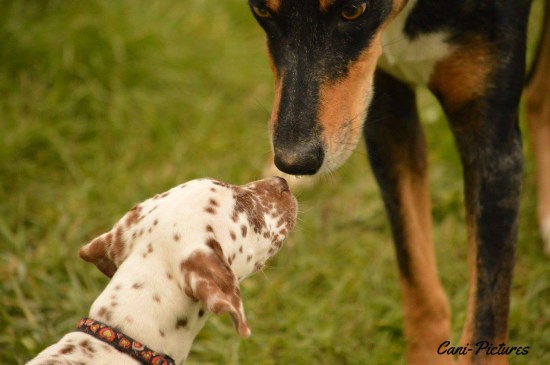 120911fds60_1691398471109042_2160318761404459027_o