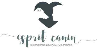 esprit-canin-éducateur-coach-canin-haute-savoie-suisse