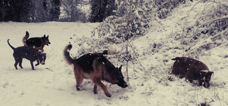 25542726_1992508871038345_8774938232078020048_o