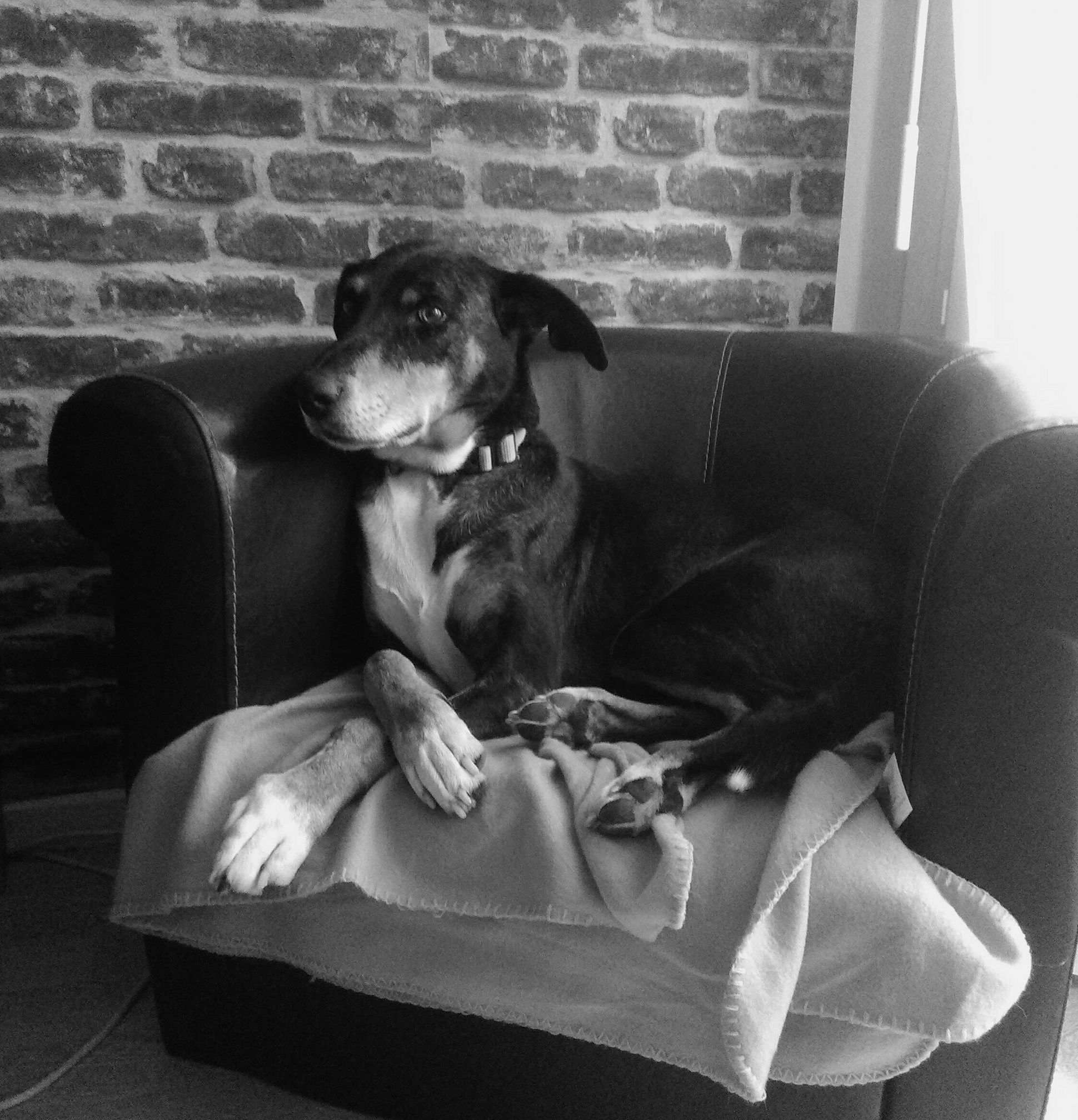 26172565_1124162521019756_2648336429082577771_o